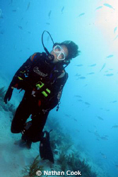 Shallow dive in Marathon Key, FL. Canon 350D Ikelite hous... by Nathan Cook 